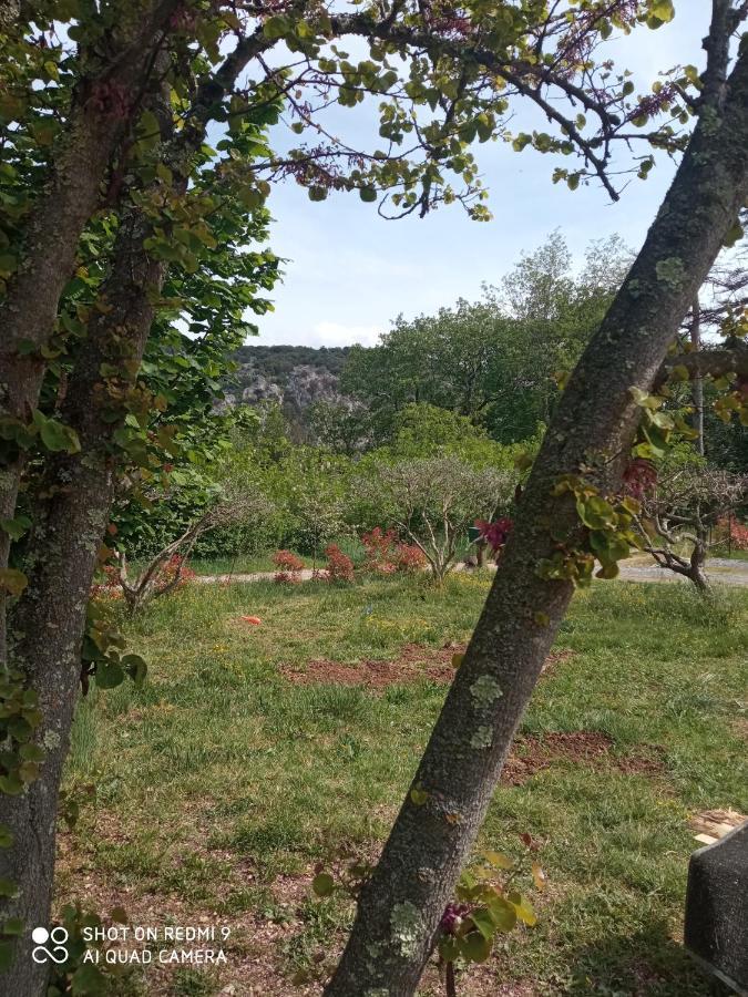 Holiday home Les Cypres